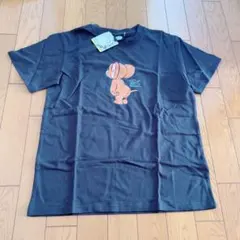 Item thumbnail for item 62d34c5f-2e1c-4d86-95bf-9c0ff30f7e99