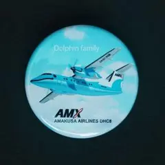 2026年最新】ピンバッジ エアラインの人気アイテム - メルカリ