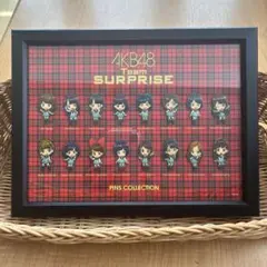 AKB48 パチンコ非売品　特大タペストリー　2個セット‼︎ 2026年最新】非売品 パチンコ akbの人気アイテム - メルカリ