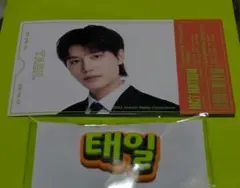 NCT NATION 会場限定ランダムトイ＆ステッカー  TAEIL（テイル）