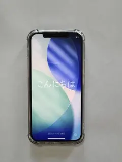 Apple iPhone 12 Pro グラファイト