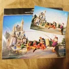 ディズニー 40周年 イマジニングザマジック　写真　クリアホルダー　2点セット