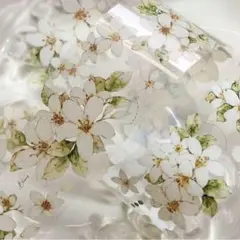 【Xi83】小白家 / 九里香 pet 1ループ 120cm