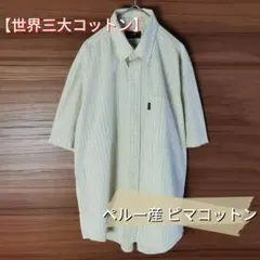【高級綿】Kent IN TRADITION ピマコットン 半袖ストライプシャツ