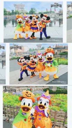 ハロウィン 2025 フォト　ミッキー ミニー ドナルド デイジー　ディズニー