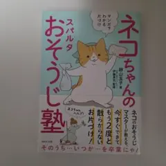 ネコちゃんのスパルタおそうじ塾 マンガでわかる片づけ