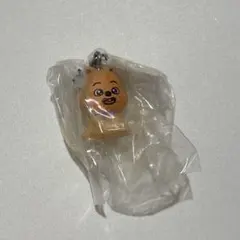 SKZOO ガチャガチャ めじるしアクセサリー ハンクォッカ