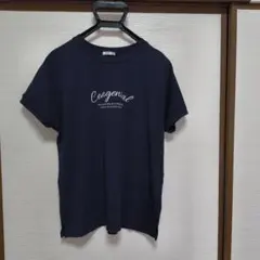ハニーズ 　Mサイズ ネイビー 半袖Tシャツ GLACIER