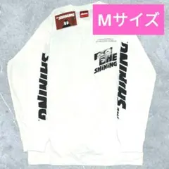 Item thumbnail for item 4f30af9f-3101-4f80-b74a-03881c466b20