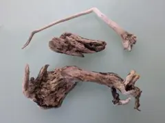 流木　３点セット　（苔盆栽　苔テラリウム　ペット飼育 レイアウト用)