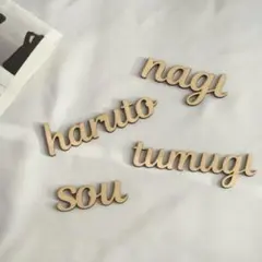 Item thumbnail for item 9bcf4191-8348-4164-93cc-8b4ada44f4bd