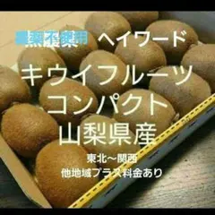 5キウイフルーツ　農薬不使用　わけあり　コンパクト　山梨県産