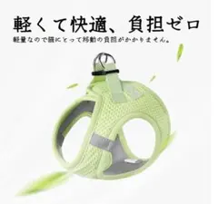 Item thumbnail for item c851ddac-81e2-4b47-8721-20a323cd799c