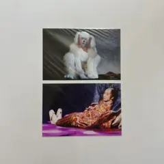 Item thumbnail for item 31696800-ef66-4737-bac6-98db0b399117