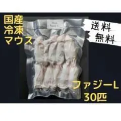 国産冷凍マウス ホッパーL30匹 (送料無料一部地域発送不可) - メルカリ