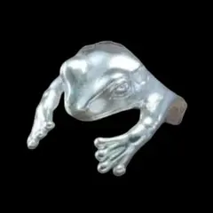 【R124】リング　メンズ　シルバー　アクセサリー　カエル　レディース　20号