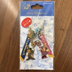 東京ディズニーリゾート　10周年記念　ペアストラップ