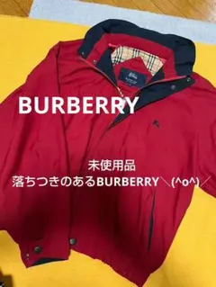 Item thumbnail for item 7b74683b-7765-4d43-9c29-623a07288ea3