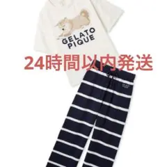 限定デザイン柴犬 ルームウェア Tシャツ・ロングパンツ 新品