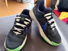ナイキ スター ランナー 4（Nike Star Runner 4）18cm