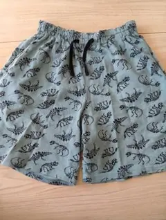 恐竜柄ハーフパンツ BREEZE 140