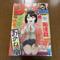 2026年最新】ワンピース 新連載号の人気アイテム - メルカリ