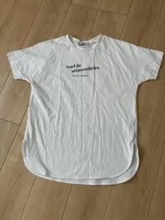 anyfam ロゴTシャツのサムネイル