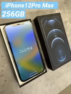 iPhone12Pro Max 256GB