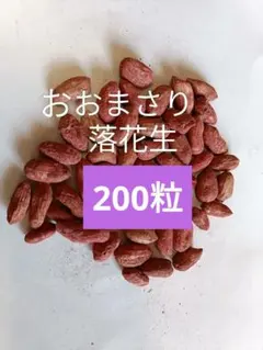 千葉県産 おおまさり 1kg 手むき 乾燥生落花生 - メルカリ