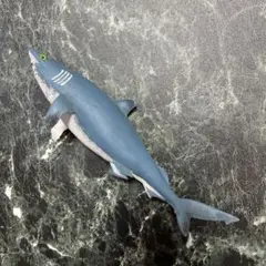 Item thumbnail for item 8e3e9f92-947f-4140-beb8-807a28f1218b