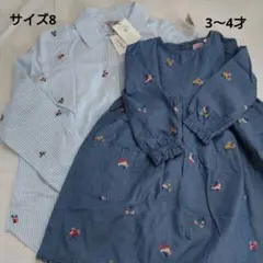 Item thumbnail for item d71a5c09-a844-4a0d-a9cc-a632e4d39194