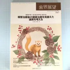 dendenHKD様 リクエスト 2点 まとめ商品