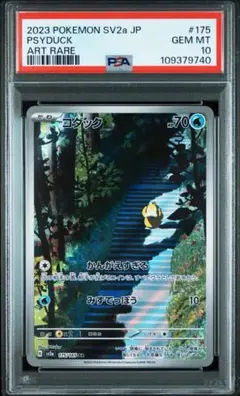 2025年最新】コダック psa10の人気アイテム - メルカリ