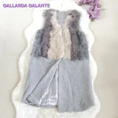 GALLARDA GALANTEラクーン ラビットファーニットジレ ベスト