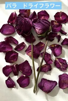 ドライローズ2本と花びら30枚セット