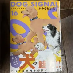 DOG SIGNAL 16