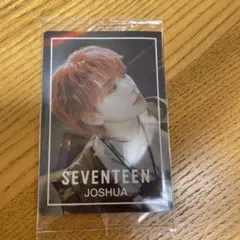 セブチ　ウエハース　ジョシュア　seventeen
