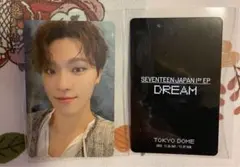 ディノ　東京ドーム限定トレカ