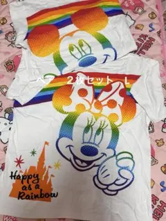東京ディズニーリゾート ミッキー ミニー　Tシャツ ペア　L