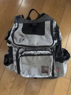 犬 キャリーバック スヌーピー