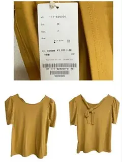 Item thumbnail for item 7bd1964c-4dda-4888-974e-a1edb01c0b91