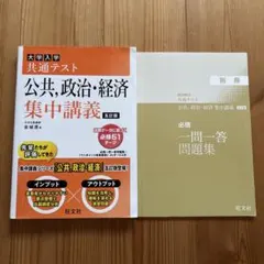 【やー様専用】大学入学共通テスト　公共、政治経済　集中講義　五訂版