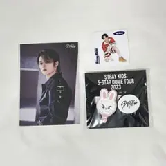 Stray Kids リノ リービット まとめ売り ラントレ くじ ステッカー