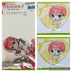 五等分の花嫁【中野一花　セット】