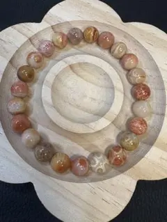 2025年最新】フォッシルコーラルの人気アイテム - メルカリ