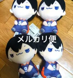 ハイキュー　ぬいぐるみ　4点セット