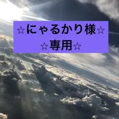 にゃるかり様専用　オーダーページ