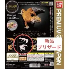 【新品】レオパードゲッコー ブリザード　いきもの大図鑑アドバンス