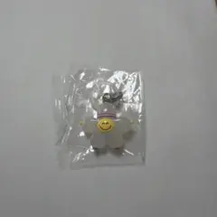 TREASURE TRUZ めじるしアクセサリー ジフン ROMY