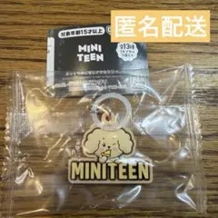 ミニティーンぷっくりめじるしアクセサリー ドギョム　DK MINITEEN